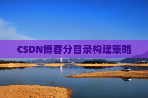 CSDN博客分目录构建策略
